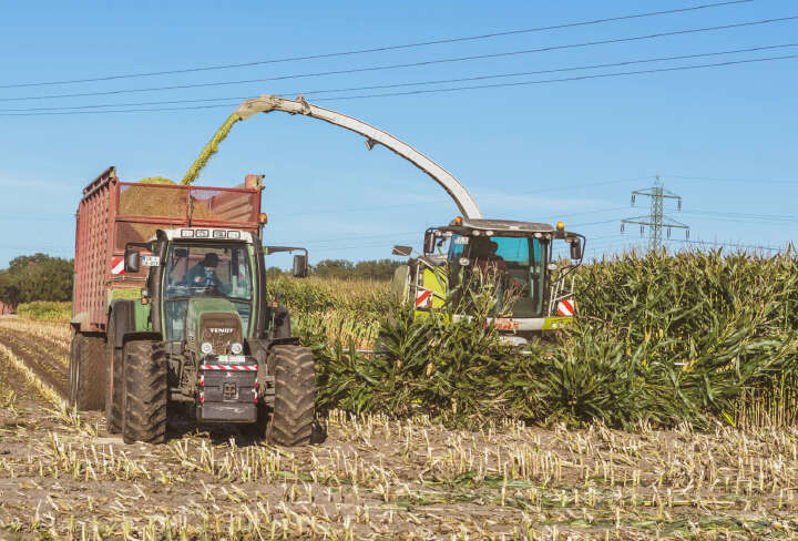 ernte und hackseltechnik maissilage ernte und hackseltechnik maissilage